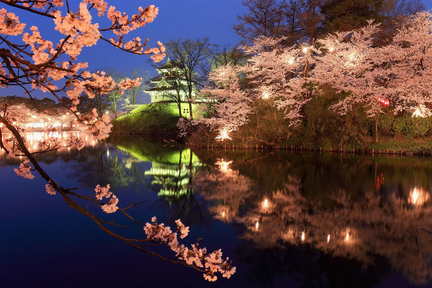 Takada Castle's turret lit up at night, cherry blossom all around it and reflected in the moat.